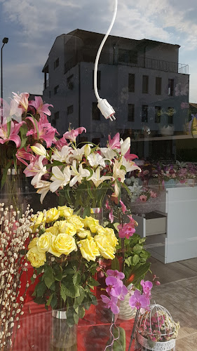 Opinii despre Floraria Atelier Sauvage în <nil> - Florărie