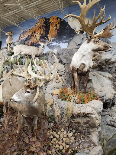 Outdoor Sports Store «Field & Stream», reviews and photos, 5215 Century Ave, Kalamazoo, MI 49006, USA