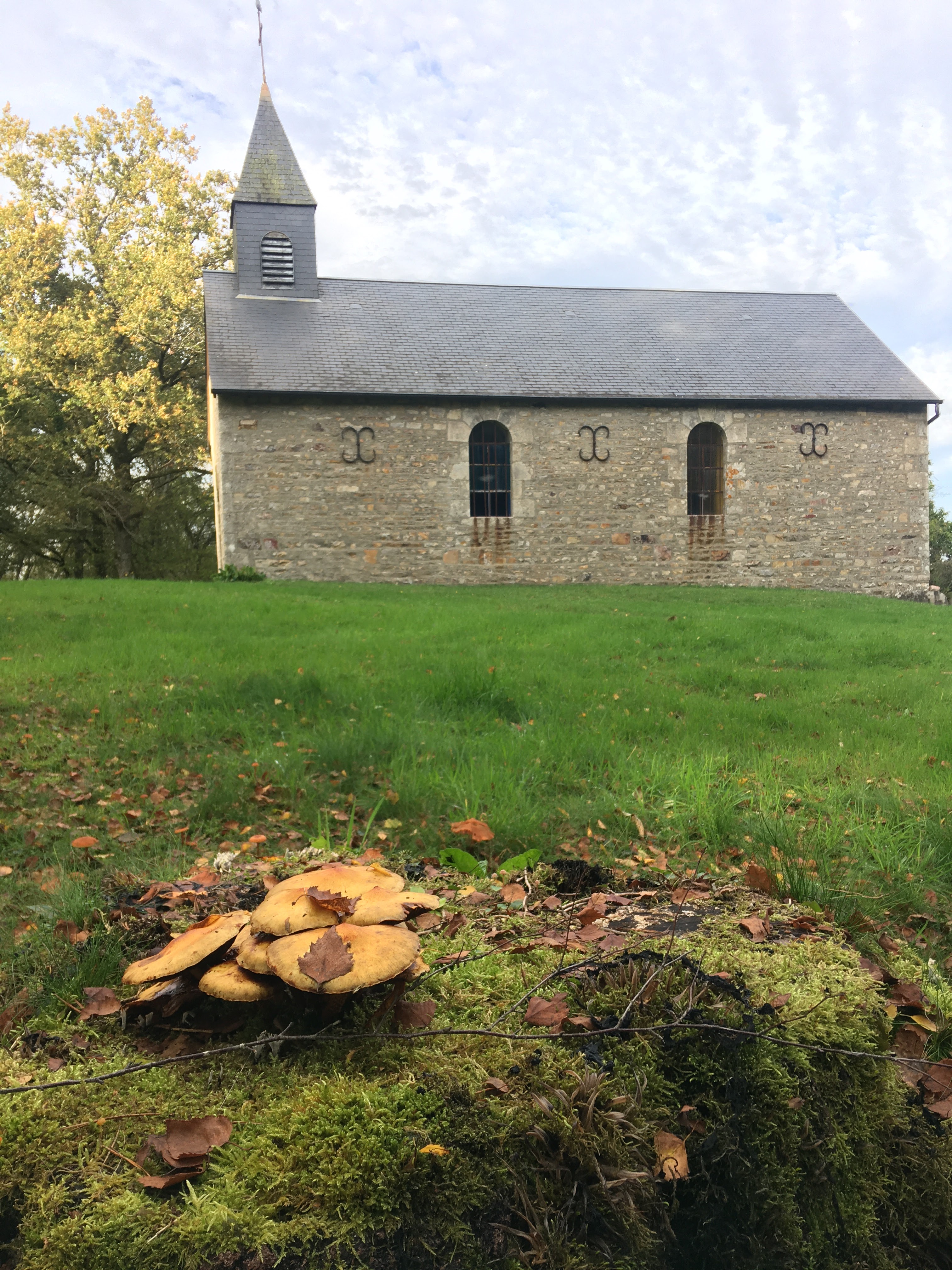 Photo n° 5 de l'avis de Benoît.a fait le 26/10/2019 à 16:24