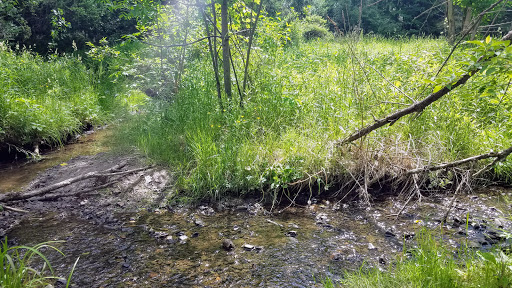 Nature Preserve «Centennial Woods Natural Area», reviews and photos, I-89, Burlington, VT 05401, USA