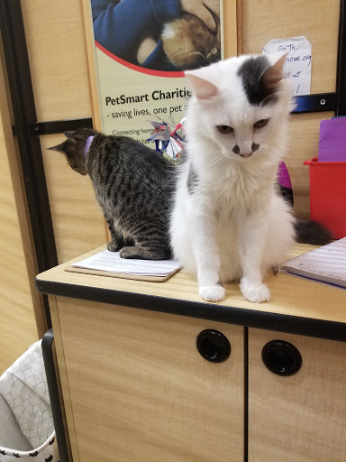 Pet Supply Store «PetSmart», reviews and photos, 828 Arnold Commons Dr, Arnold, MO 63010, USA