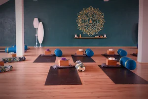 Siddha Yoga studio image