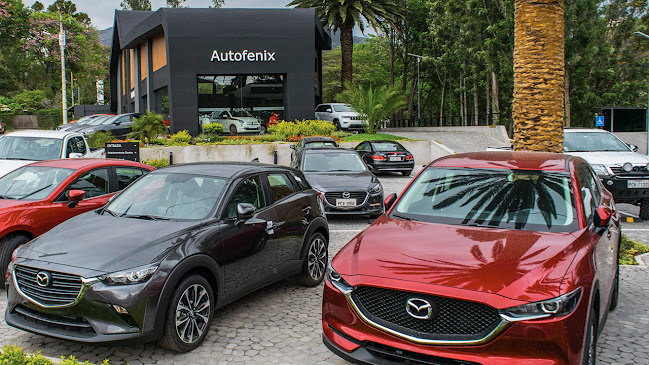 Opiniones de Autofenix - Mazda, Jeep, Fiat, Chrysler y RAM Cumbayá Tumbaco en Quito - Concesionario de automóviles