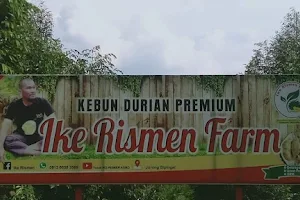 Kebun Durian Ike Rismen Farm image