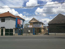 Clinica Veterinara ALVET