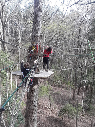 Recreation Center «Go Ape Zip Line & Treetop Adventure - Blue Jay Point County Park», reviews and photos, 3200 Pleasant Union Church Rd, Raleigh, NC 27614, USA