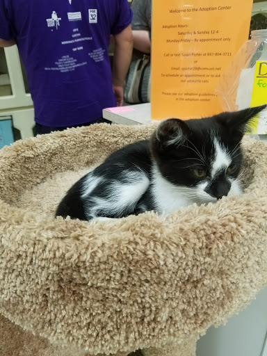 Pet Supply Store «Petco Animal Supplies», reviews and photos, 1018 Mt Prospect Plaza, Mt Prospect, IL 60056, USA