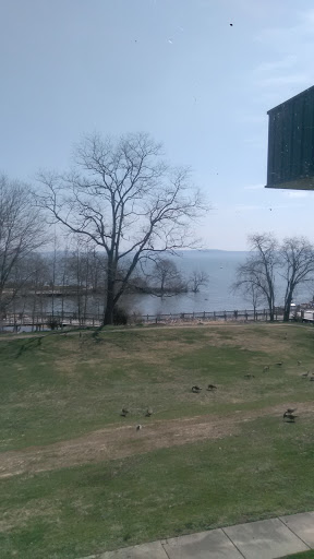 Museum «Havre De Grace Decoy Museum», reviews and photos, 215 Giles St, Havre De Grace, MD 21078, USA