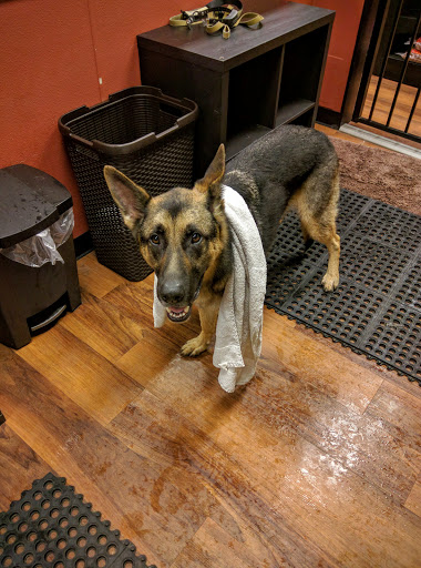 Pet Supply Store «Pet Valu», reviews and photos, 1305 West Seventh Street #28, Frederick, MD 21702, USA