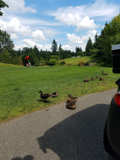 Golf Club «Fairwood Golf & Country Club», reviews and photos, 17070 140th Ave SE, Renton, WA 98058, USA