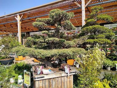 Jardiland à Cormeilles-en-Parisis