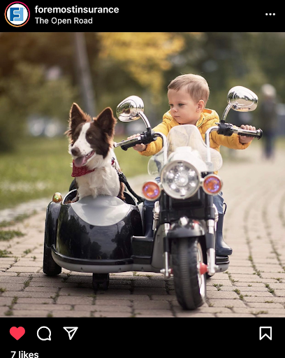 Mo Shafik Insurance Services LLC image