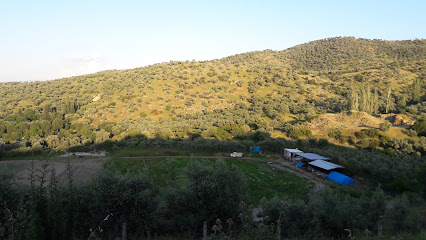 Halilbeyli Köyü