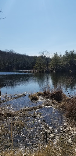 Nature Preserve «John Burroughs Slabsides», reviews and photos, Burroughs Dr, West Park, NY 12493, USA