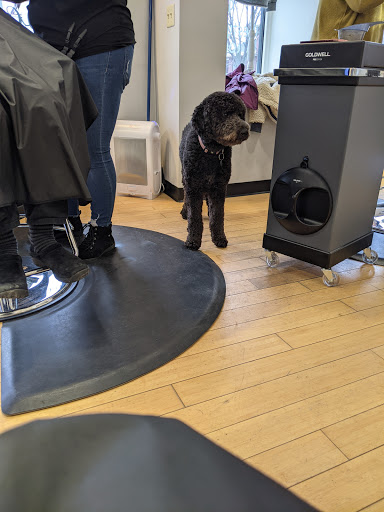 Hair Salon «Urban Salon Team Beauty Bar», reviews and photos, 86 Main St, Burlington, VT 05401, USA