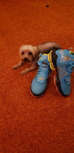 Pet Store «Back To Nature Pets & Grooming», reviews and photos, 110 N Dupont Hwy, New Castle, DE 19720, USA