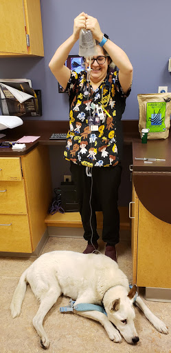 Adobe Animal Hospital image