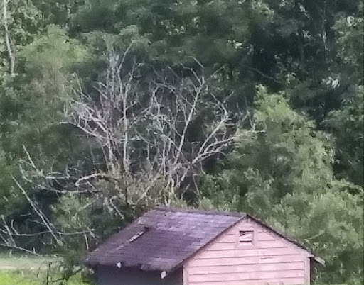 Public Golf Course «Beech Creek Golf Course», reviews and photos, 1831 Hudepohl Ln, Cincinnati, OH 45231, USA