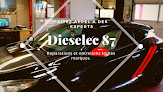 Dieselec 87 SA Limoges