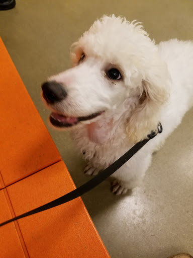 Pet Supply Store «PetSmart», reviews and photos, 1391 S Commons Dr, Myrtle Beach, SC 29588, USA