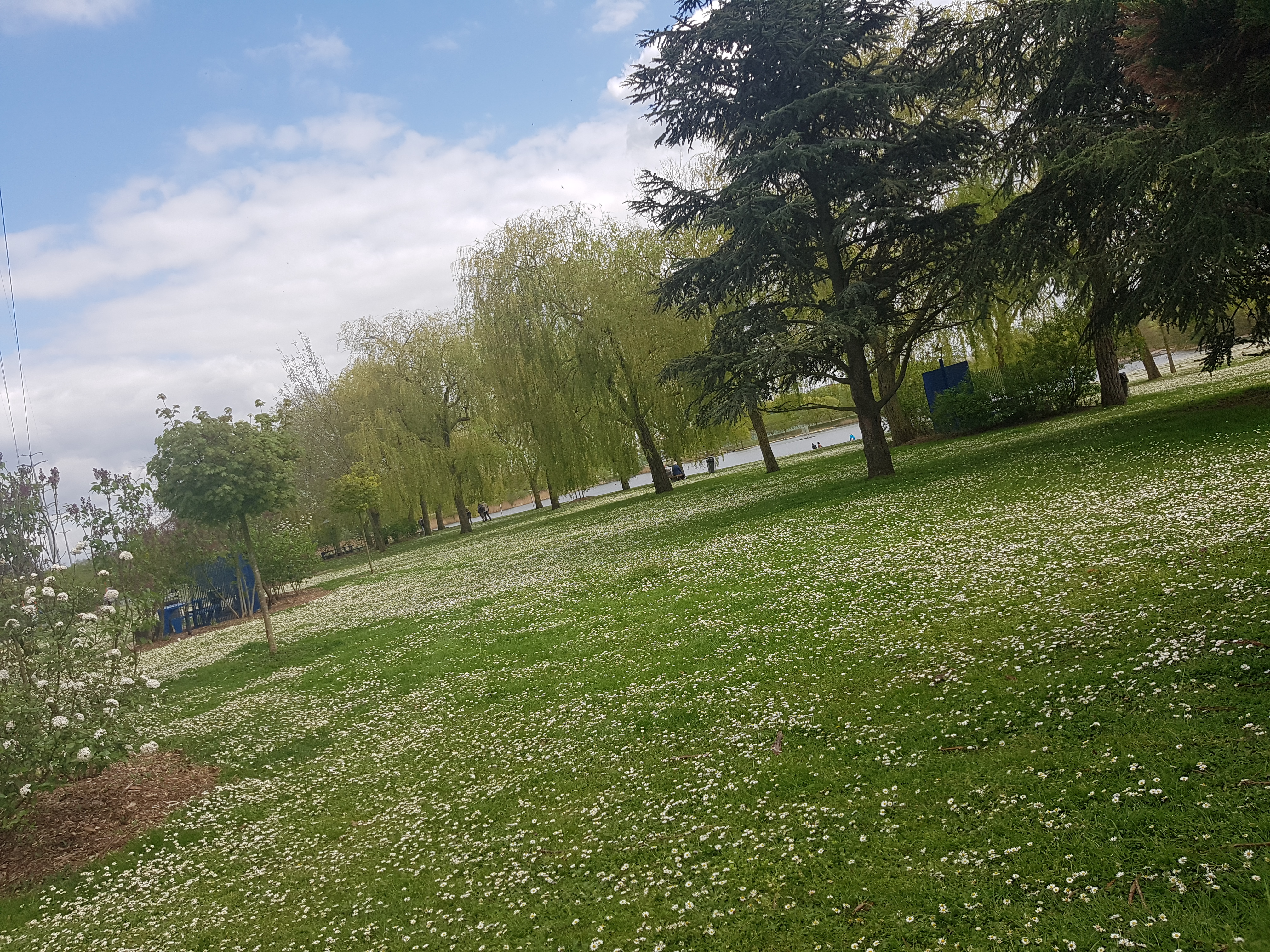 Photo n° 36 de l'avis de Mériame. fait le 16/04/2018 à 15:22