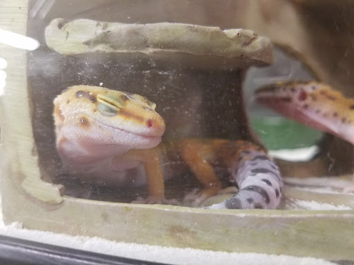 Pet Supply Store «Petco Animal Supplies», reviews and photos, 710 W 66th St, Richfield, MN 55423, USA