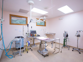 Breton Veterinary Hospital