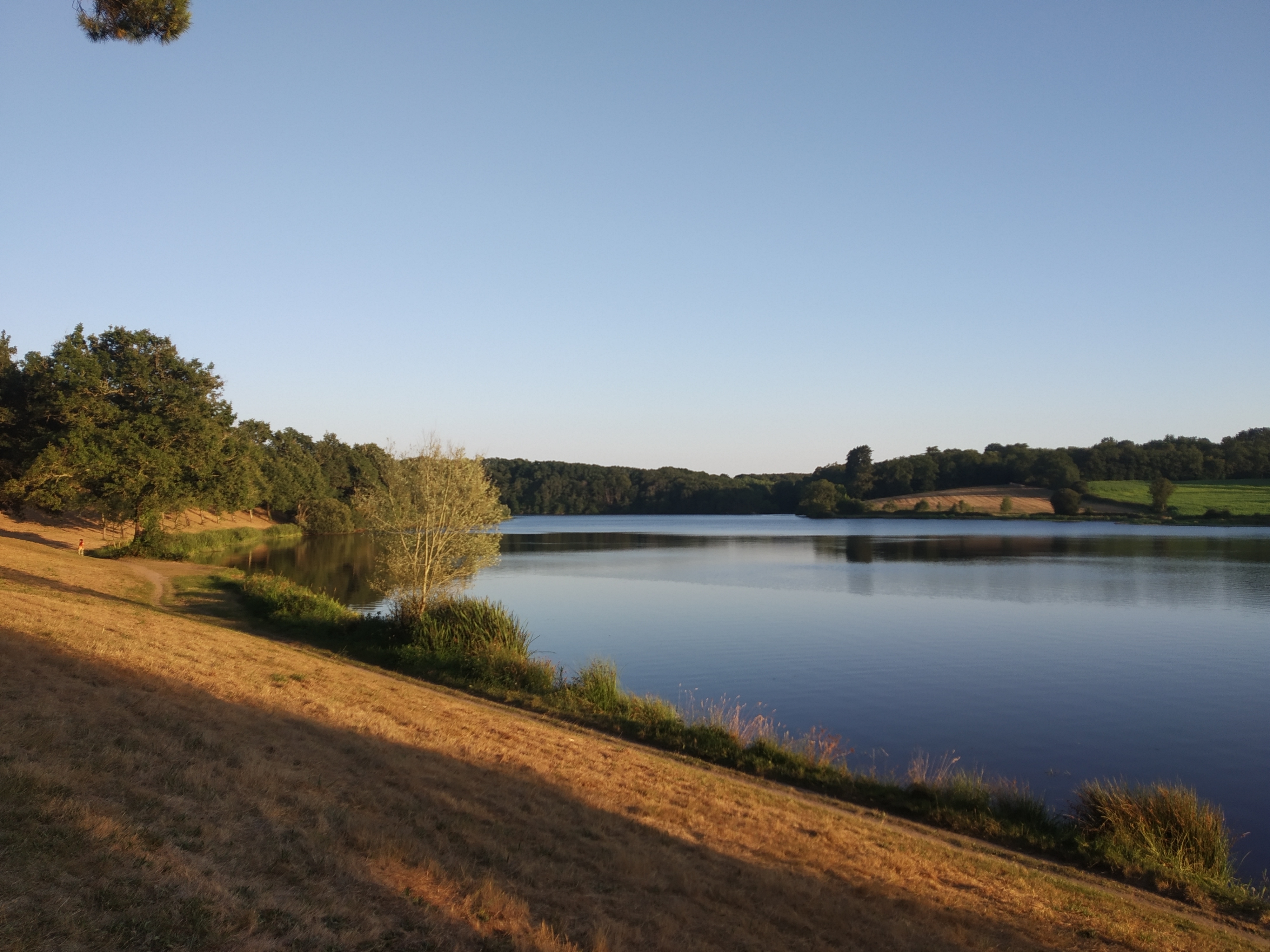 Photo n° 8 de l'avis de Eva.. fait le 25/07/2020 à 17:00
