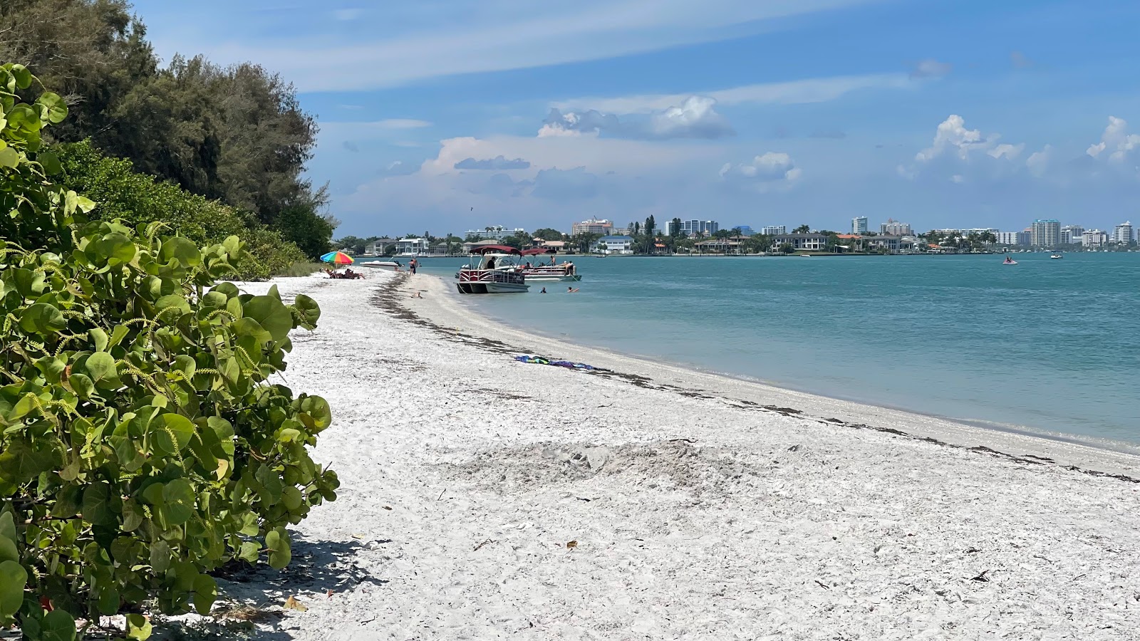 Valokuva South Lido Key beachista. villi alue