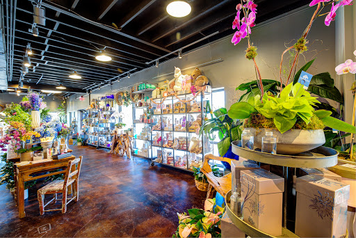 Florist «Dr. Delphinium Designs & Events», reviews and photos, 5806 W Lovers Ln, Dallas, TX 75225, USA