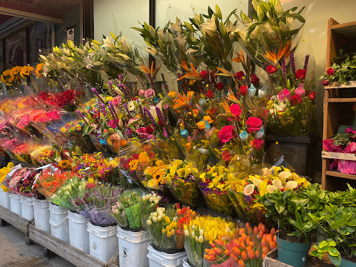 Grocery Store «Natural Market», reviews and photos, 7256 Austin St, Flushing, NY 11375, USA