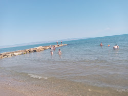 Zapponeta Beach的照片 带有多个长海湾