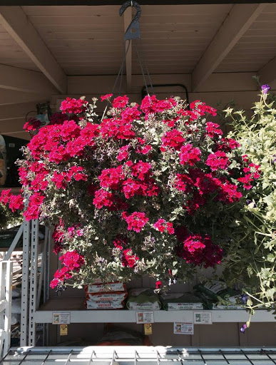 Hardware Store «Parkland Ace Hardware», reviews and photos, 105 112th St S, Parkland, WA 98444, USA