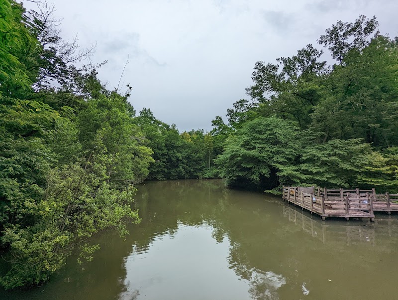 茅ケ崎公園自然生態園