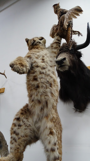 Sporting Goods Store «Sportco Warehouse Sporting Goods», reviews and photos, 4602 20th St E, Fife, WA 98424, USA