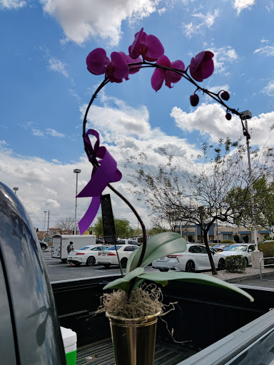 Grocery Store «Safeway», reviews and photos, 340 E McDowell Rd, Phoenix, AZ 85004, USA