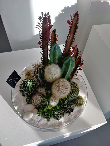 Interior Plant Service «Plant The Future, Inc.», reviews and photos, 2511 NW 2nd Ave, Miami, FL 33127, USA