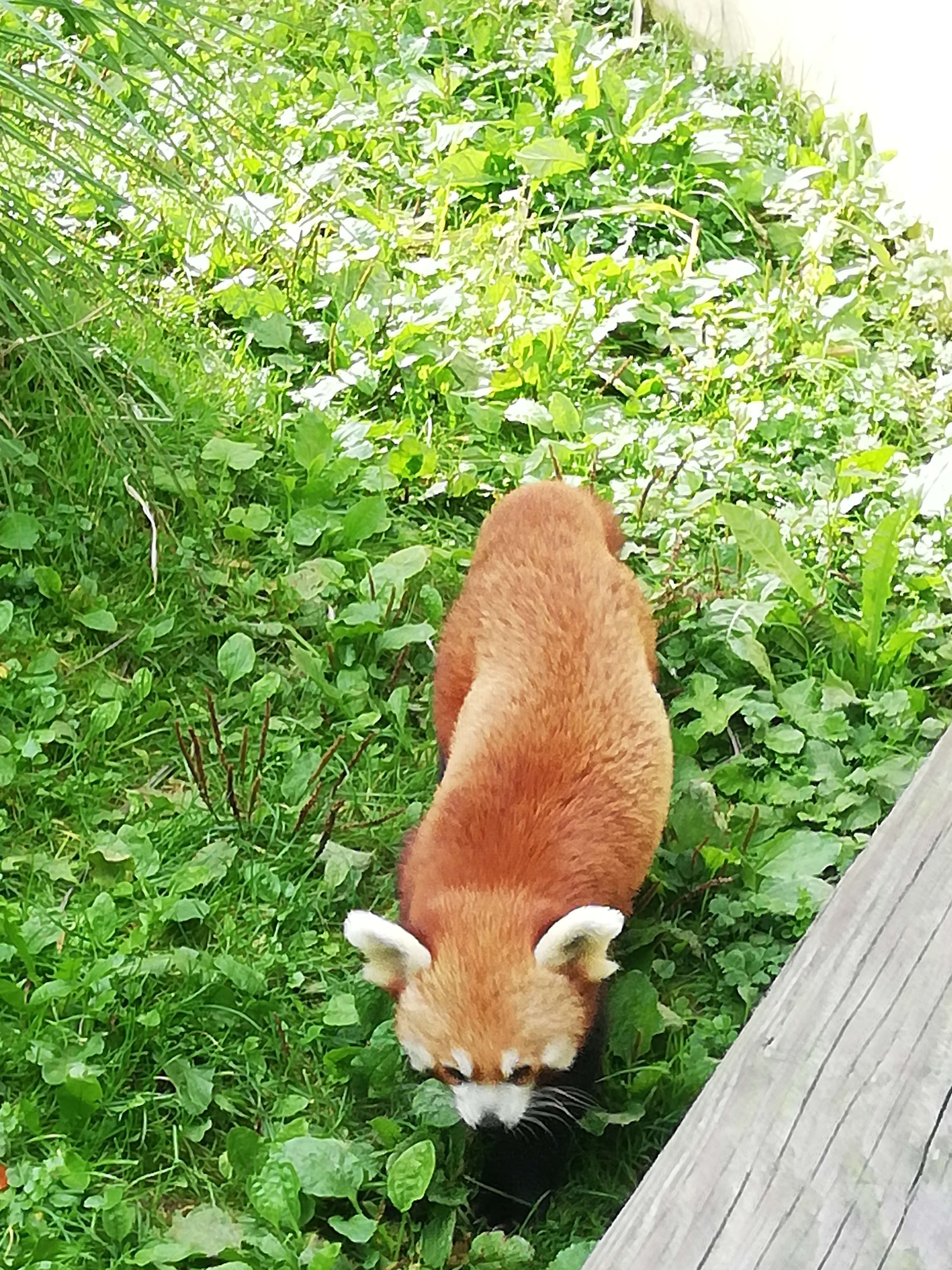 Photo n° 8 de l'avis de Jérôme.r fait le 09/10/2021 à 23:59