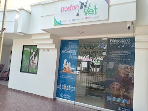 BOSTON VET - photo 1