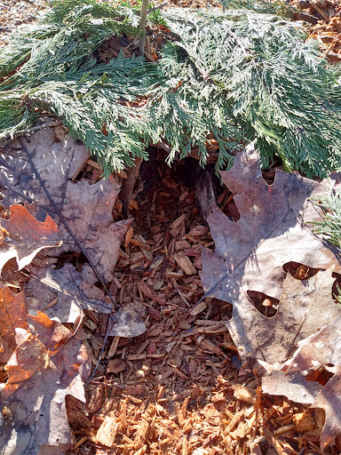 Park «Kenilworth Park», reviews and photos, SE Holgate Blvd & Southeast 34th Avenue, Portland, OR 97202, USA