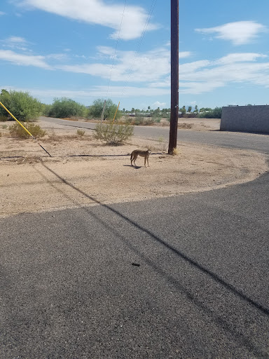 Auto Repair Shop «Arnold Auto Center», reviews and photos, 870 Apache Trail, Apache Junction, AZ 85120, USA