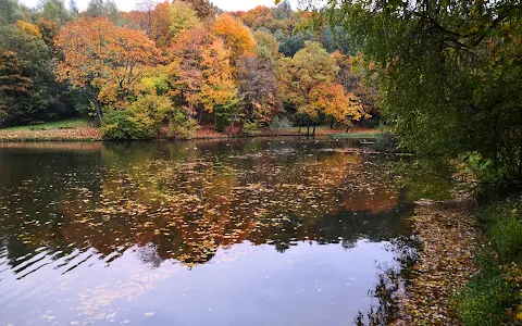 Markučiai Park image