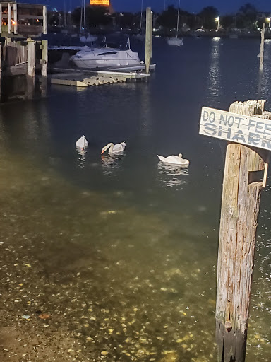 Italian Restaurant «il Fornetto», reviews and photos, 2902 Emmons Ave, Brooklyn, NY 11235, USA