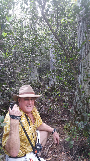 Nature Preserve «Cypress Creek Natural Area», reviews and photos, 10035 W Indiantown Rd, Jupiter, FL 33478, USA