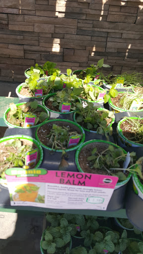 Supermarket «Walmart Neighborhood Market», reviews and photos, 3571 W. Rock Creek Road, Norman, OK 73069, USA