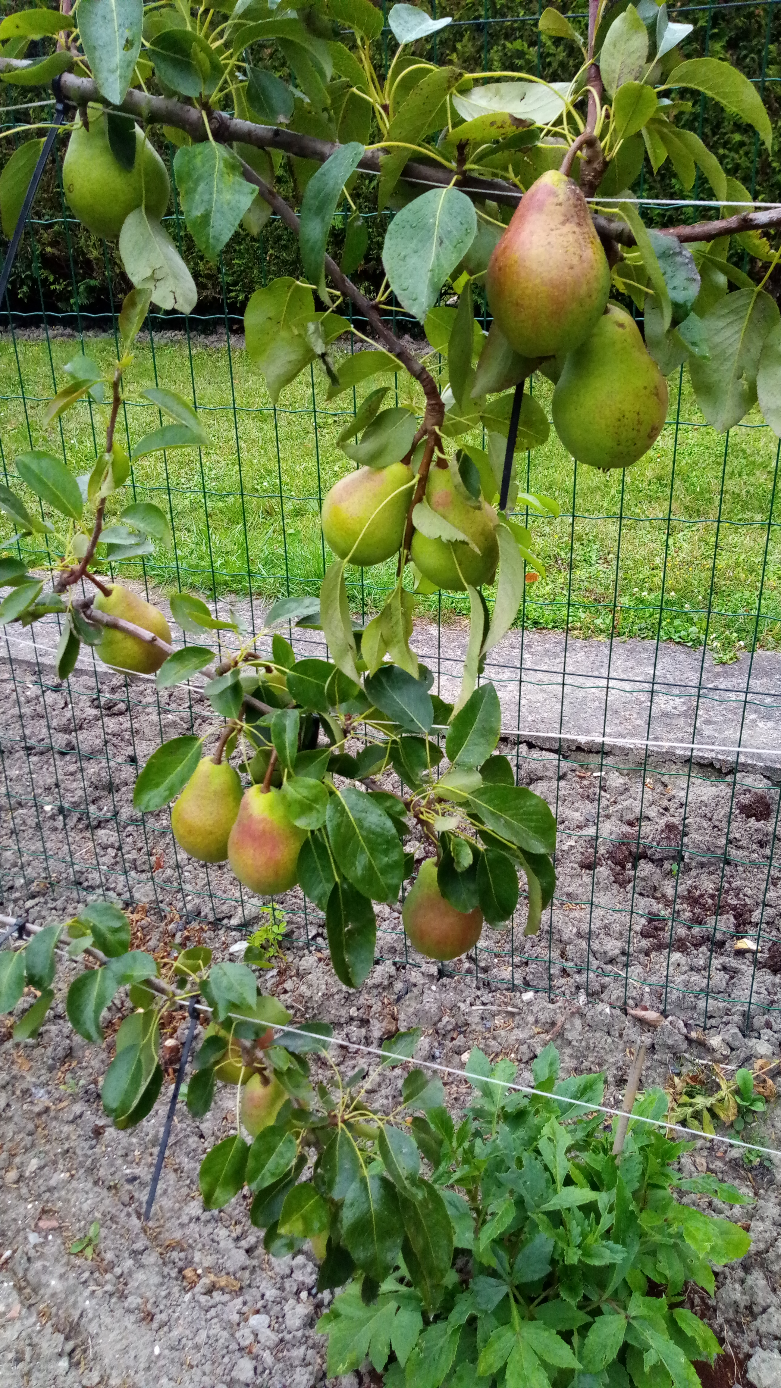Photo n° 4 de l'avis de didier.a fait le 30/04/2020 à 16:21