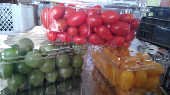 Opiniones de Sannus Verduras Saludables en La Cruz - Tienda