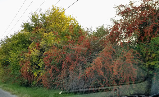 Park «Oakwell TrailHead Park», reviews and photos, 150 Ira Lee Rd, San Antonio, TX 78218, USA