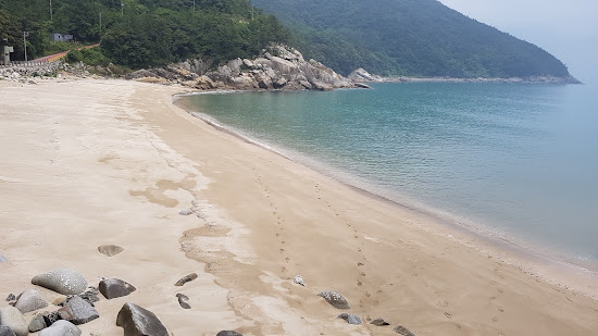 Gasa Camellia Forest Beach