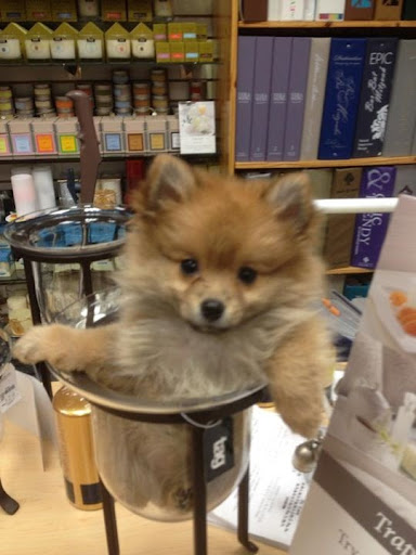 Gift Shop «FUN Cards and Gifts», reviews and photos, 1442 Waukegan Rd, Glenview, IL 60025, USA